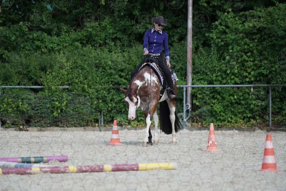 s_APF06644.jpg